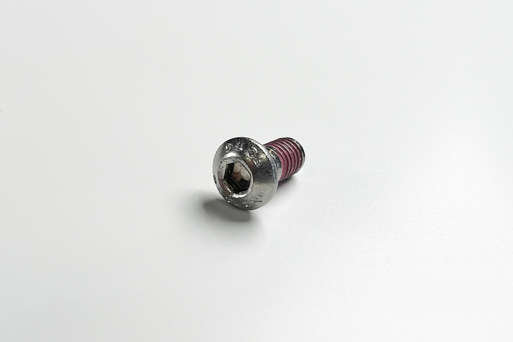 ROESTVRIJSTALEN BOMSCHROEF 6 STUKS ZONDER ROND M6X12 + DRAADBORGMIDDEL