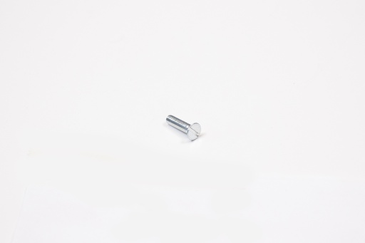 [VZ96304] VIS ZINC T.F.RAINU ENT FIL M3X12
