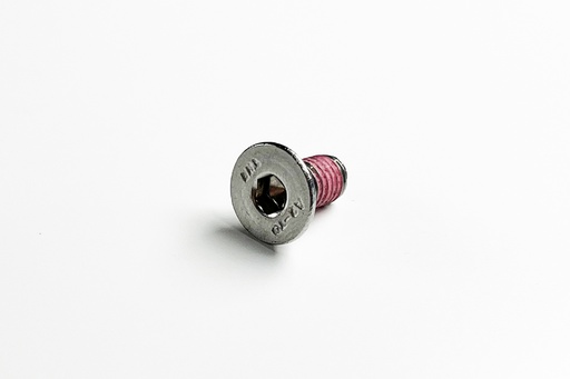 [VI99119] STEEL SCREW M6x12 PASTED